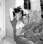 Дэмиен Кэй (Damien Caye) - бывшая американская порноактриса и взрослая фотомодель, известная также под именами: Damian Zisk, Pamela Westcott, Margo Mars, Damion Zisk, Damian Zish