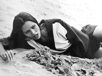 Лаура Гемсер

Laura Gemser